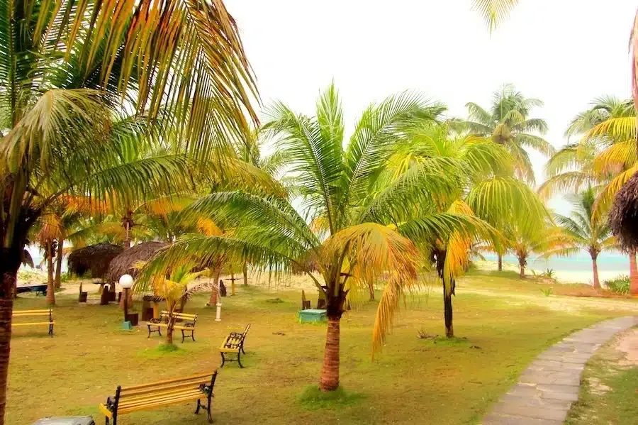 Kiedy jechać na Kubę, by uniknąć deszczu i cieszyć się słońcem